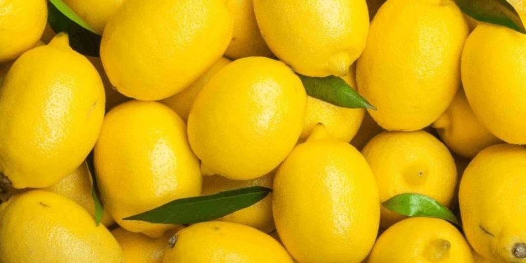 Pizza kutusundan asma yaprağına: İşte Avrupa’dan iade edilen Türk ürünleri 5